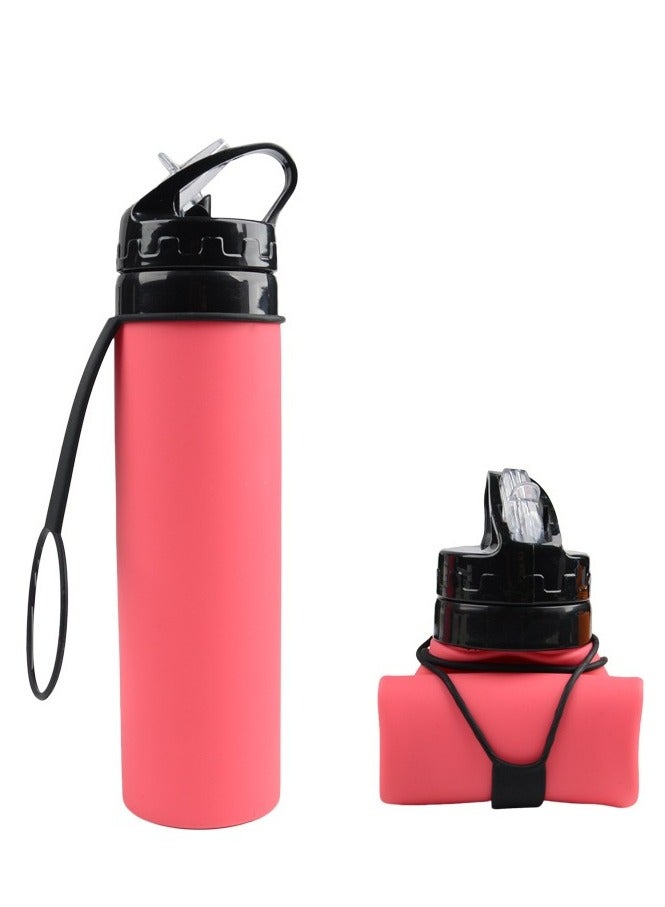 Goldfish 600ML Outdoor Sports Folding Water Cup with Straw Portable for Riding and Traveling - Image 1