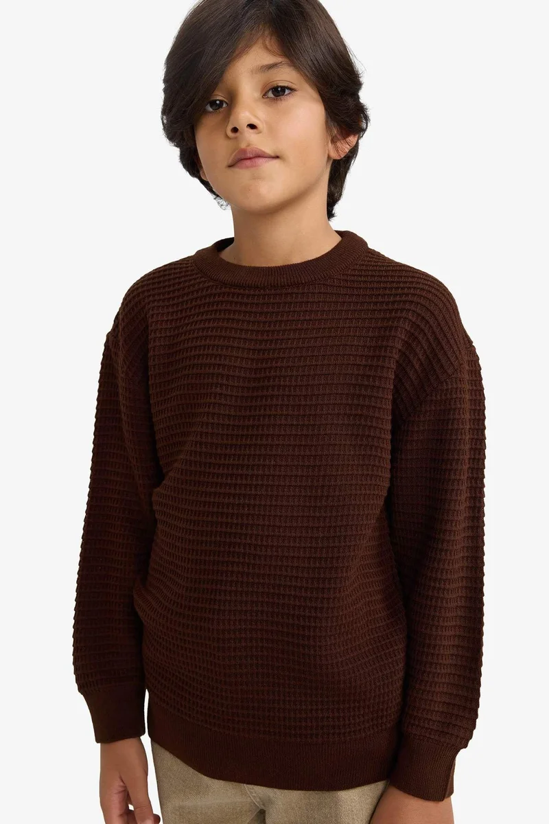 ديفاكتو Boy Regular Fit Crew Neck Pullover