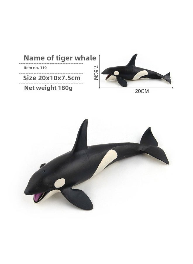 Generic - Simulation Of Whale Sharks, Tiger Sharks, Blue Whales, Marine Life Models, Deep-sea Prehistoric Ancient Duns, Trilobites, Animal Models-Color:Pl127-119 Tiger Whale 180g - Image 1
