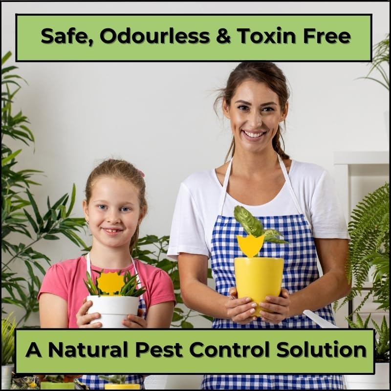 Evanmore Fruit Fly Traps Trap Indoor Sticky Yellow For Home Use Protect Plants Plant Houseplant Fungus Gnat Killer Insect Catcher Bug Catchers Control Pests Whitefly Non Toxic Odourless Safe Waterproof (100) - Image 4