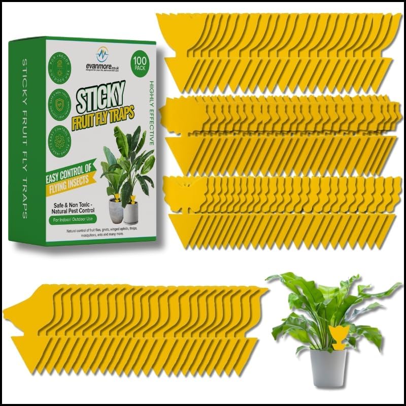 Evanmore Fruit Fly Traps Trap Indoor Sticky Yellow For Home Use Protect Plants Plant Houseplant Fungus Gnat Killer Insect Catcher Bug Catchers Control Pests Whitefly Non Toxic Odourless Safe Waterproof (100) - Image 1