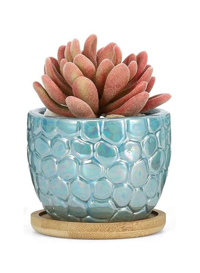 Generic Indoor Plant Pot with drainage hole and tray for Balcony, Home Garden | Light Blue (Plant NOT Included)  - Image 1