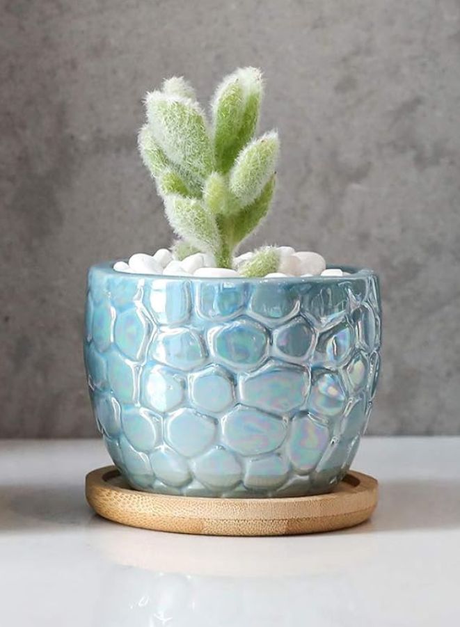 Generic Indoor Plant Pot with drainage hole and tray for Balcony, Home Garden | Light Blue (Plant NOT Included)  - Image 2