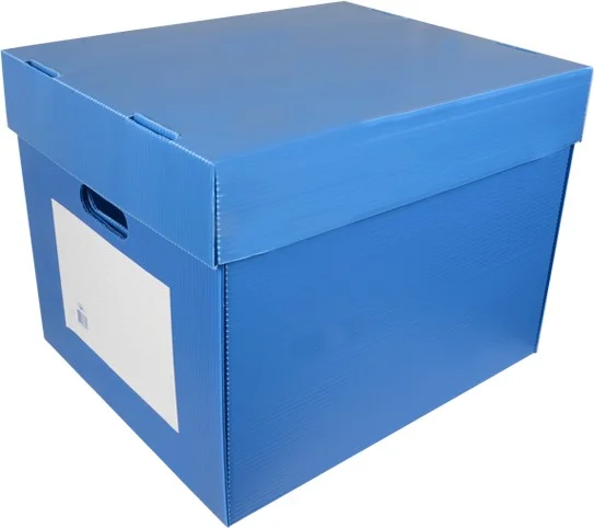 Temel Basic Archive Box - Archive Box - Transport Box
