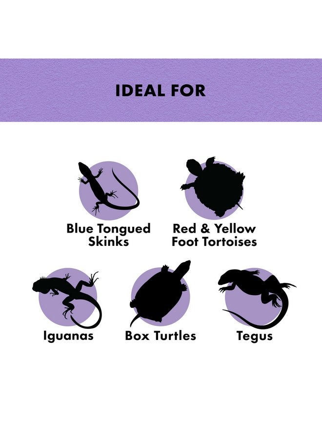 زيلا طعام زواحف من Zilla Reptile Food Munchies Fruit Mix لإغوانا الحيوانات الأليفة، والسحالي، والسلاحف، والسلاحف، وسرطانات الناسك، 2.5 أونصة - Image 4