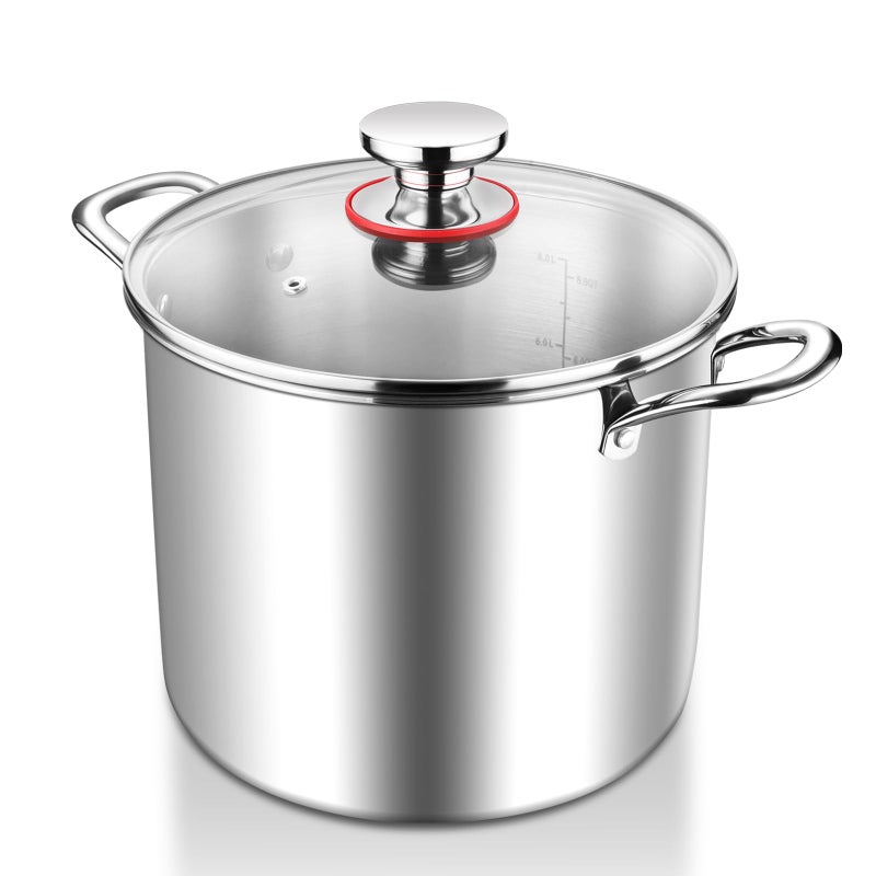 HaWare Large Stock Pot 10L 255cm TriPly Stainless Steel Soup Pot with Visible Lid for PastaMeat Metal Cooking Induction Stockpot Suit for All Kitchen Stove Top Healthy  Non Toxic Easy Clean