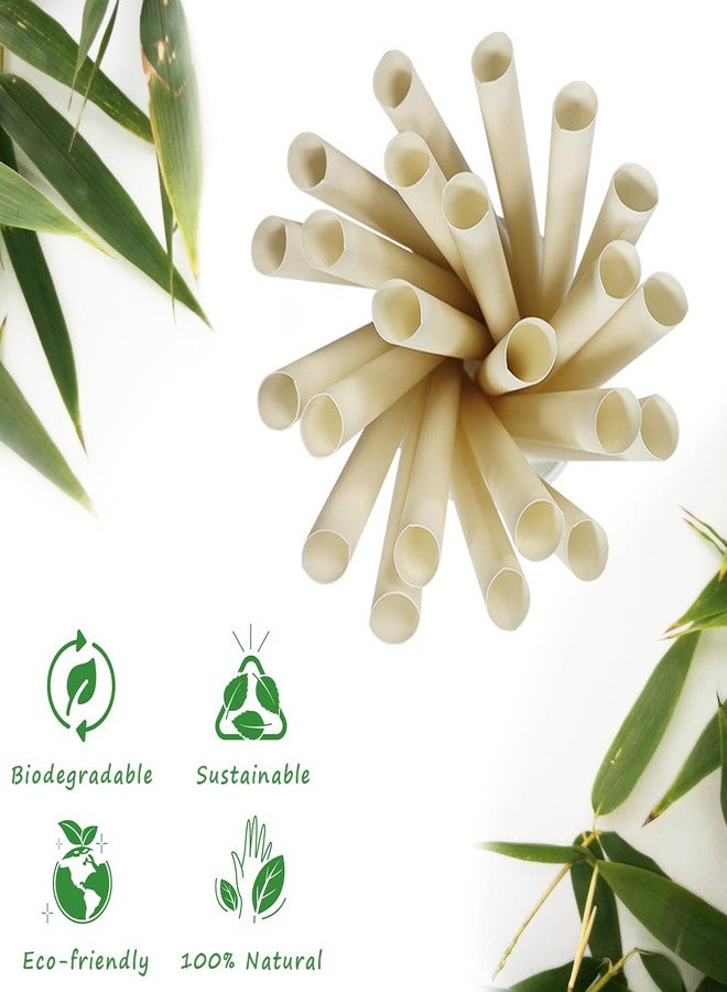 DingZan Extra Wide Bamboo Smoothie Boba Straws, 200 Pack Disposable Drinking Straws Biodegradable Bamboo Boba Straws Made of 100% Natural Plant Based Fiber - Durability 9 in x 0.5 in Hot and Cold Drinking - Image 3