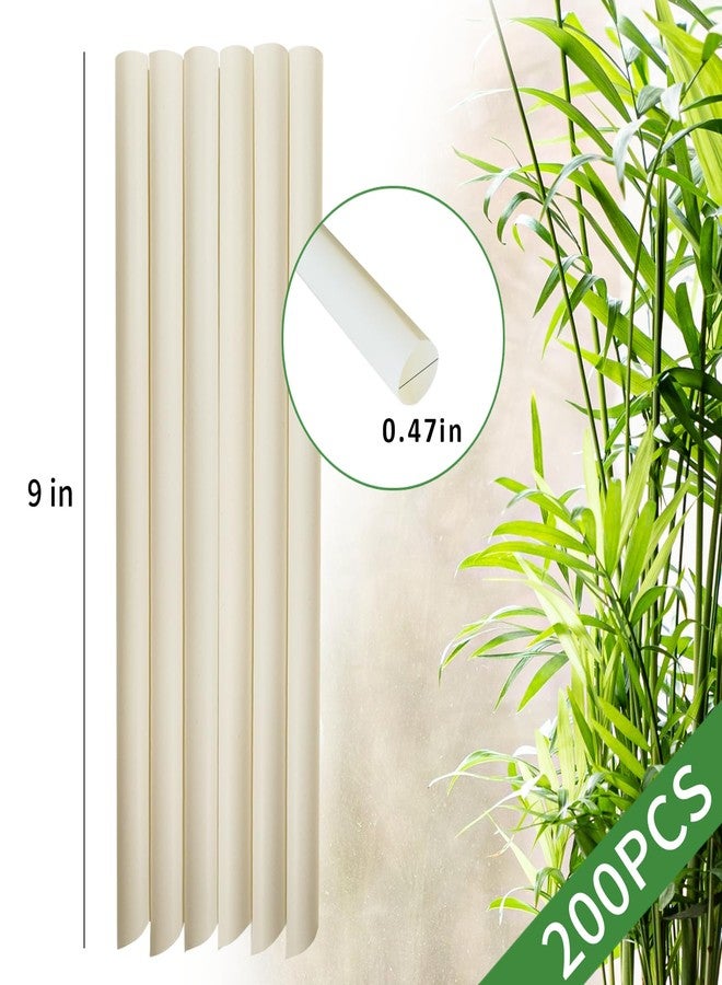 DingZan Extra Wide Bamboo Smoothie Boba Straws, 200 Pack Disposable Drinking Straws Biodegradable Bamboo Boba Straws Made of 100% Natural Plant Based Fiber - Durability 9 in x 0.5 in Hot and Cold Drinking - Image 2