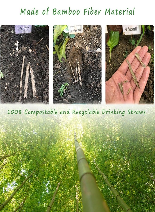DingZan Extra Wide Bamboo Smoothie Boba Straws, 200 Pack Disposable Drinking Straws Biodegradable Bamboo Boba Straws Made of 100% Natural Plant Based Fiber - Durability 9 in x 0.5 in Hot and Cold Drinking - Image 5