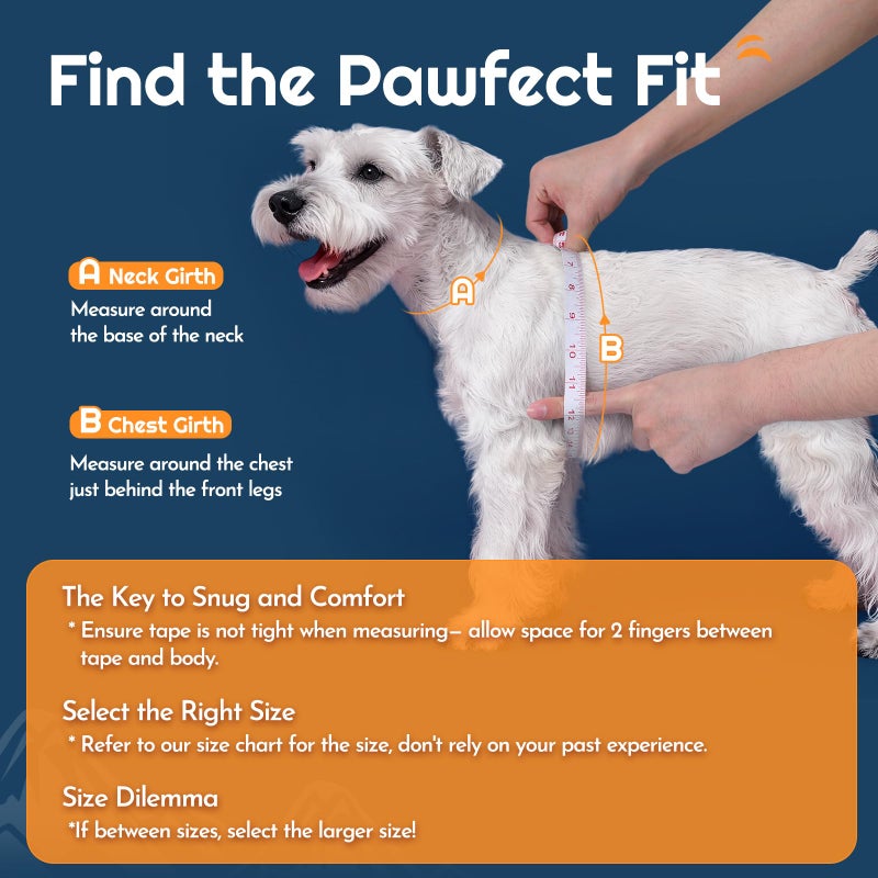 Eagloo Small Dog Harness and Leash Set, Step in Puppy Vest with Breathable Soft Mesh, Walking Reflective Pet Harness for Small Dogs, Blue, S - Image 2
