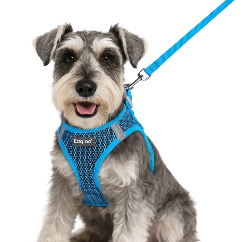Eagloo Small Dog Harness and Leash Set, Step in Puppy Vest with Breathable Soft Mesh, Walking Reflective Pet Harness for Small Dogs, Blue, S - Image 1