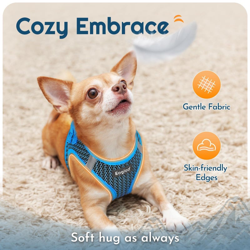 Eagloo Small Dog Harness and Leash Set, Step in Puppy Vest with Breathable Soft Mesh, Walking Reflective Pet Harness for Small Dogs, Blue, S - Image 4