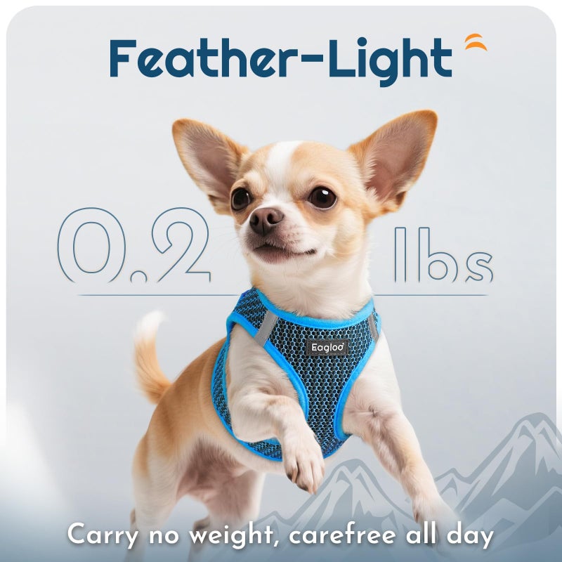 Eagloo Small Dog Harness and Leash Set, Step in Puppy Vest with Breathable Soft Mesh, Walking Reflective Pet Harness for Small Dogs, Blue, S - Image 5
