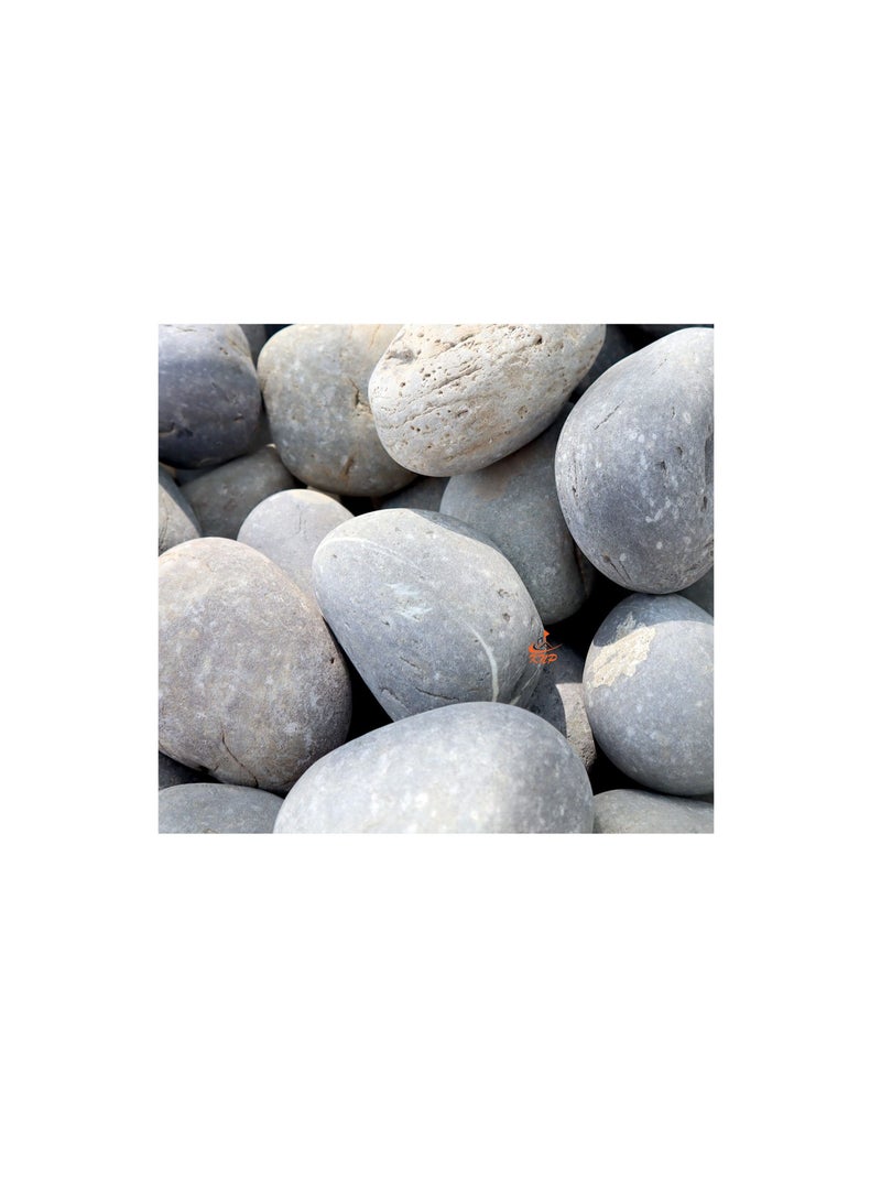 KNP Gray River Pebbles Natural Garden Material  5-8 CM 10KG - Image 3