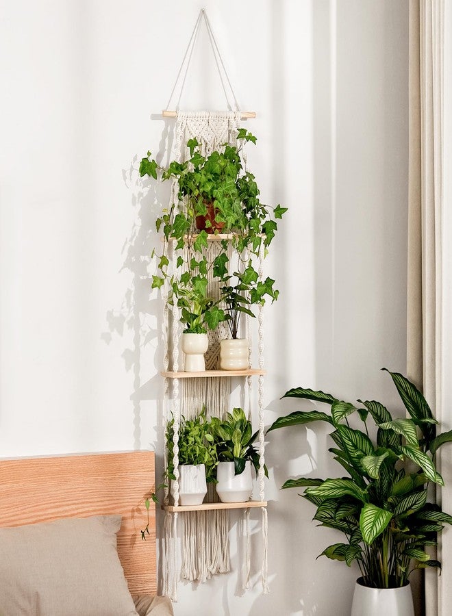 Bamworld boho wood plant stand-3 tier - Image 1