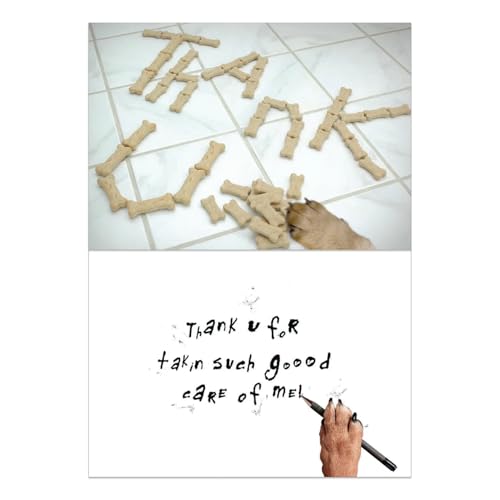 Dog Speak Thank You Letter – Pet Sitter Appreciation Card – Dog Paw with Treats Design, 4.75" x 6.75" – Includes Envelope, Thoughtful Pet Care Thank You - Image 3