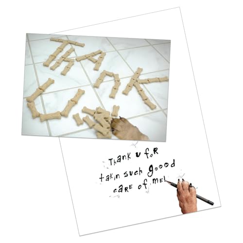 Dog Speak Thank You Letter – Pet Sitter Appreciation Card – Dog Paw with Treats Design, 4.75" x 6.75" – Includes Envelope, Thoughtful Pet Care Thank You - Image 4