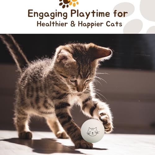 Cloverjoyed Ping Pong Balls for Cats, 6 Pack, Enrichment Toys, Cat Lovers Gift Ideas, Ball Pits, Bouncy - Image 2