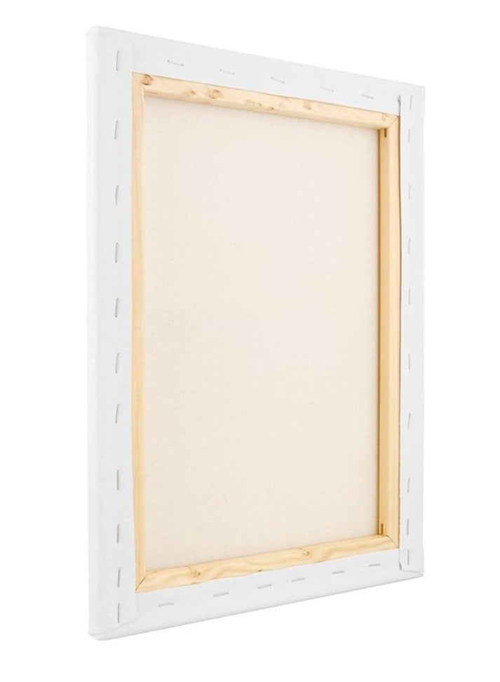 Terabyte 12-Piece Blank 280gsm Cotton Pre-Stretched Canvas Board Set 20x30cm - Image 4