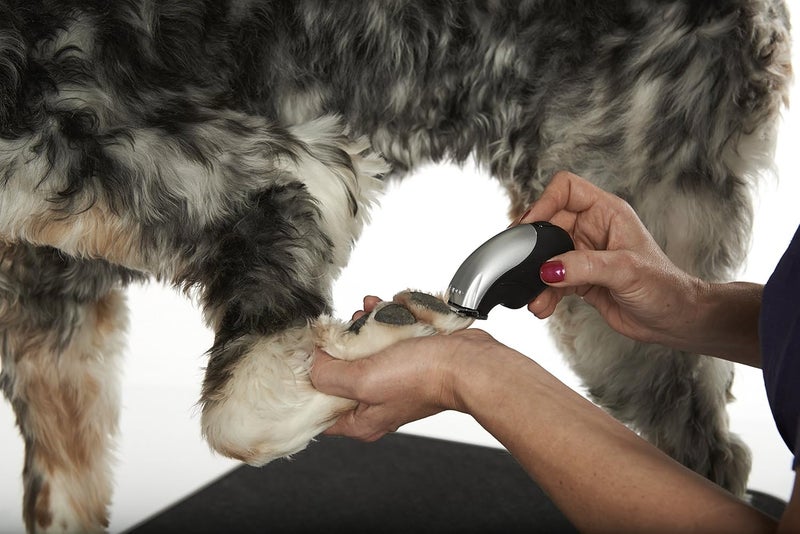 Andis 24865 Cordless Trim N Go 7Piece Portable Trimmer  AnimalDog Grooming Silver - Image 5