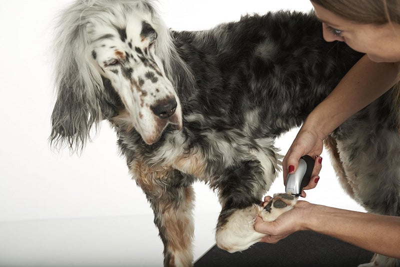 Andis 24865 Cordless Trim N Go 7Piece Portable Trimmer  AnimalDog Grooming Silver - Image 4