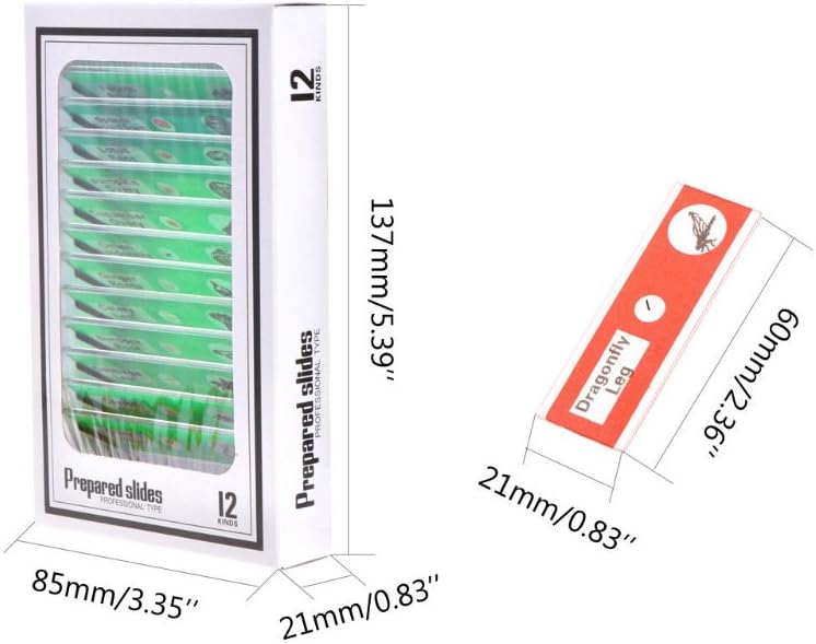 Jiusion 60Pcs Prepared Microscope Slides Specimen Animals Insects Plants Flowers Sample Biological Specimen, Stereo Microscope Slide for Kids Children Students Enlighten Education - Image 4