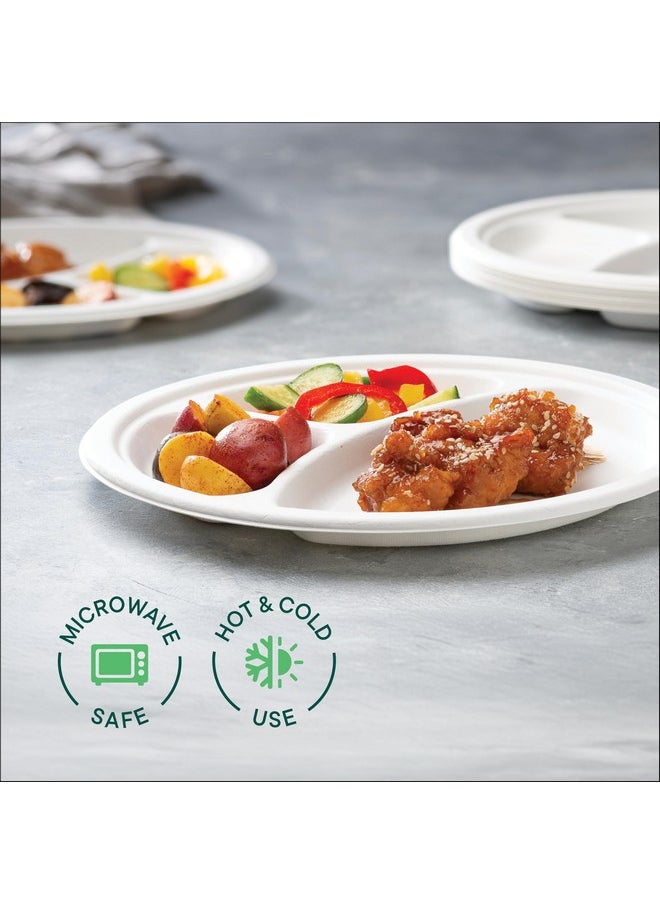 Stack Man 100% Compostable, 3 Compartment [10-Inch] Disposable Paper Plates [125-Pack] Sectional Lunch Trays + Dividers - Divided Platter Tray - Heavy Duty Biodegradable Bagasse (BPA-Certified) (PFAS-Free)  - Image 3