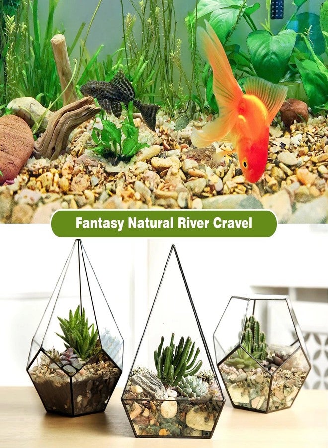 WDEFUN Aquarium Gravel River Rock, Natural Polished Mixed Colorful Stones, 10 LBS, for Plant Aquariums, Landscaping, Vase Filler - Image 5