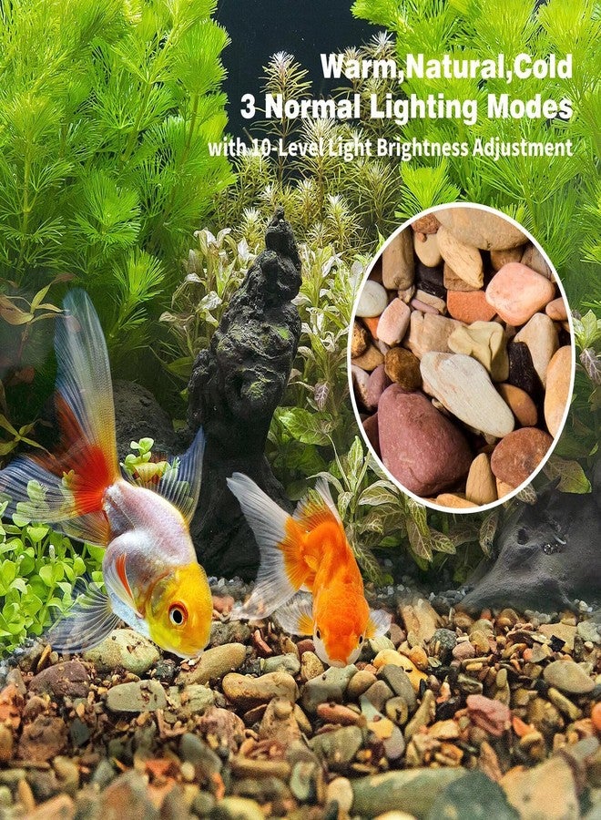 WDEFUN Aquarium Gravel River Rock, Natural Polished Mixed Colorful Stones, 10 LBS, for Plant Aquariums, Landscaping, Vase Filler - Image 2