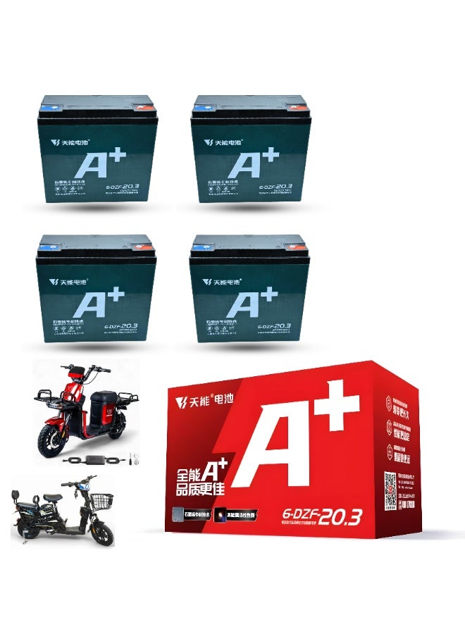 TIANNENG 6 DZF 20.3 12V 20.3Ah Sealed Lead Acid Electric Bike Battery Rechargeable VRLA Maintenance Free Battery Pack Electric Bicycle Electric Scooter Replacement Battery 4 Pack - Image 1