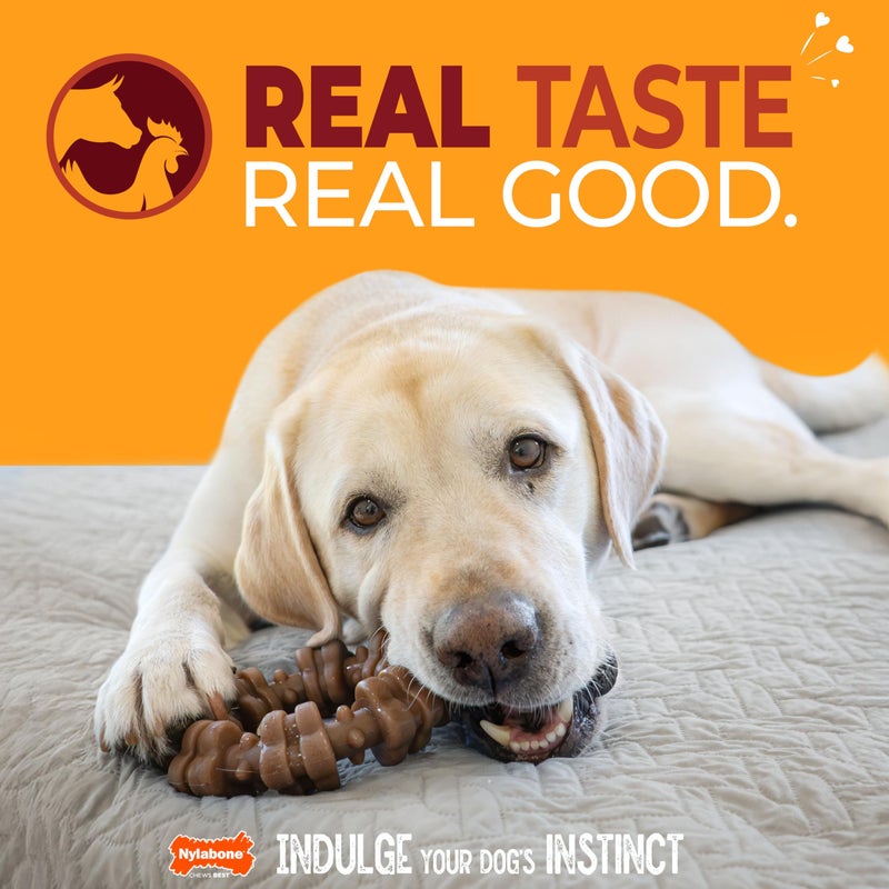 Nylabone Textured Ring Strong Chew Toy for Dogs Made with Real Beef & Chicken, Durable Dog Chew Bones for Aggressive Chewers, Keeps Dogs Busy, X-Large Dog Toys - 50+ lbs, 1 Count - Image 2