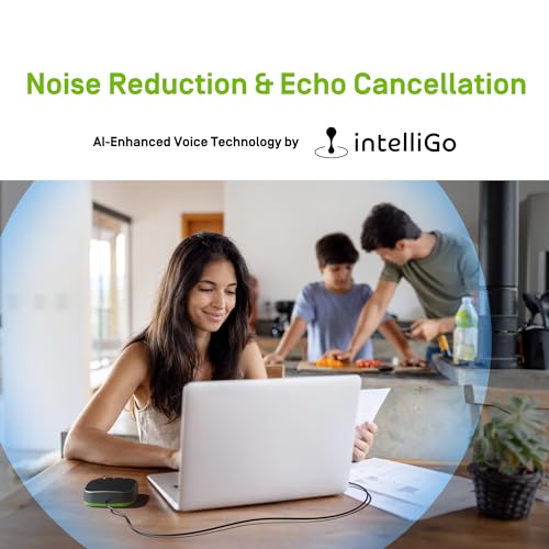 IPEVO VC-A10 USB Portable Speakerphone, Conferencing, Video Calls, Online Meetings, Hybrid Work, Meeting Rooms, Noise Reduction Microphone, 360° Voice Coverage, Easy Setup, Compatible with Teams, Zoom - Image 2