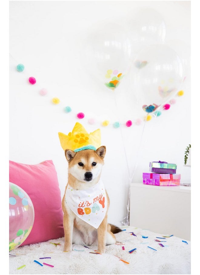 pearhead Pearhead Happy Barkday M/L Bandana Hat Set, Pet Birthday Gift, Dog Birthday Party Accessories, Party Hat and Bandana for Dogs, Pet Owner Must Have Accessories, Medium/Large  - Image 4