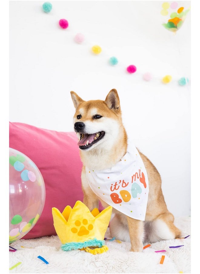 pearhead Pearhead Happy Barkday M/L Bandana Hat Set, Pet Birthday Gift, Dog Birthday Party Accessories, Party Hat and Bandana for Dogs, Pet Owner Must Have Accessories, Medium/Large  - Image 2