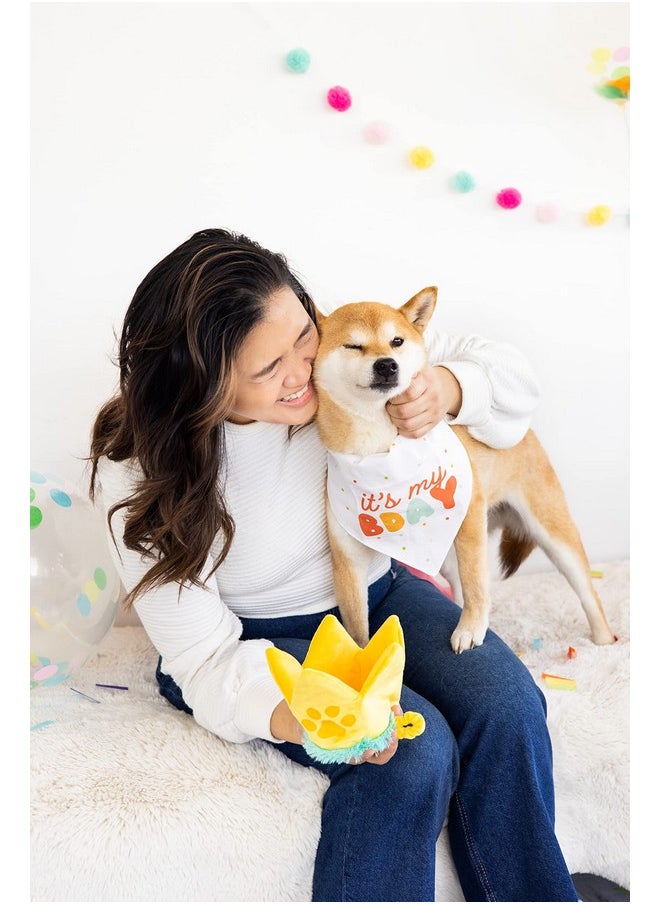 pearhead Pearhead Happy Barkday M/L Bandana Hat Set, Pet Birthday Gift, Dog Birthday Party Accessories, Party Hat and Bandana for Dogs, Pet Owner Must Have Accessories, Medium/Large  - Image 3