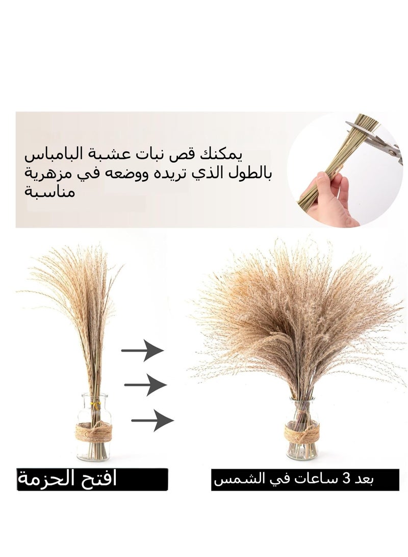 Generic 100PCS Pampas Grass Decor, 18 inch Dried Pampas Grass for Home Table Vase Rustic Farmhouse Decor, Fall Decor Wedding Decorations  - Image 2