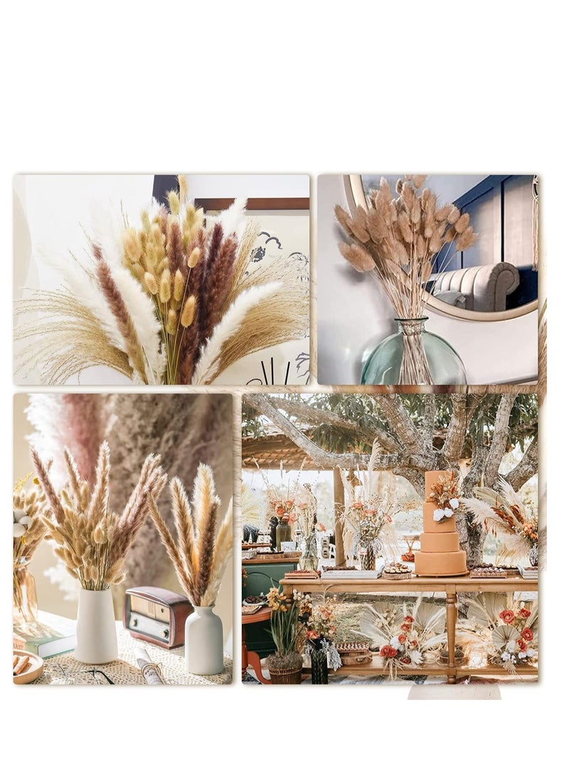 Generic 100PCS Pampas Grass Decor, 18 inch Dried Pampas Grass for Home Table Vase Rustic Farmhouse Decor, Fall Decor Wedding Decorations  - Image 3