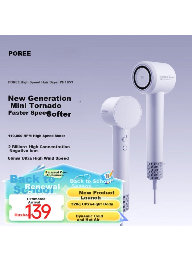 Flyco Borui High-speed Hair Dryer Household High-power Electric Hair Dryer Quick-drying Hair Dryer With Ionic Hair Care Nozzle, Gift For Boyfriend Girlfriend Couples Ph1653 Purple