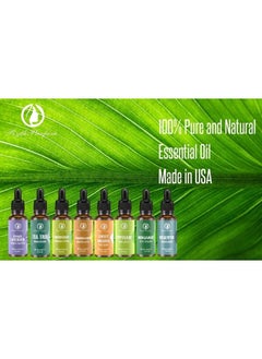 Lemongrass Oil (3PACK of 1oz) with Eye Dropper|100% Pure Undiluted Natural Oil with Eye Dropper for Diffuser,Humidifier,Refreshing,Aromatherapy|Dropping CAPS for Face,Hair, Skin,Massage