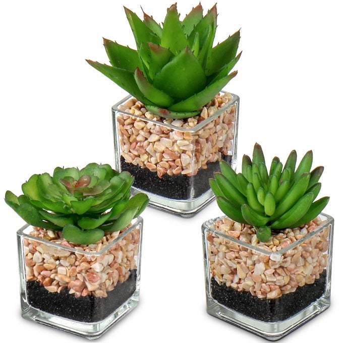 MINI FAKE PLANTS 3 PACKS CUTE SUCCULENTS ARTIFICIAL PLANTS IN SQUARE GLASS VASE POT POTTED FAUX SUCCULETNS FOR LIVING ROOM DINING ROOM BATHROOM KITCHEN WINDOWSILL TABLE DECOR