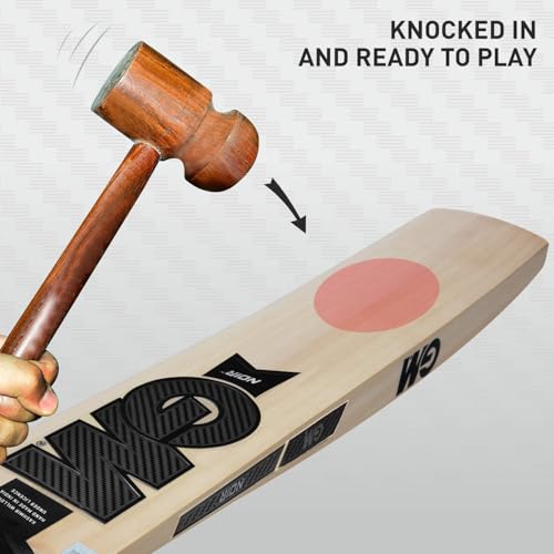 GM Noir Striker Kashmir Willow Cricket Bat with Cross Weave Tape on The Face | Size-3 | Light Weight | Free Cover|, Multi Colour - Image 4