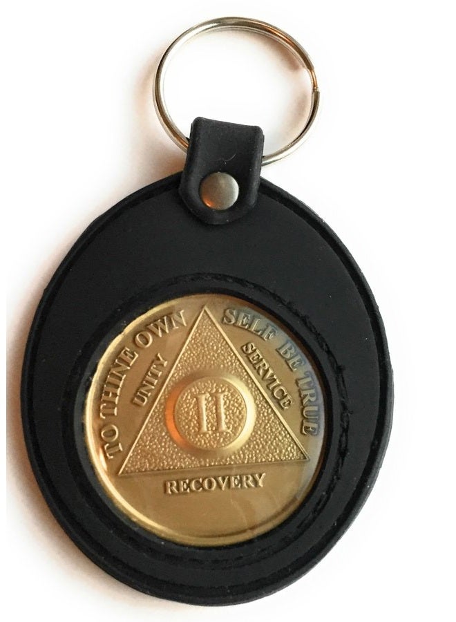 RecoveryChip Universal AA Medallion or Coin Holder Keychain Black Soft Silicone - Image 3