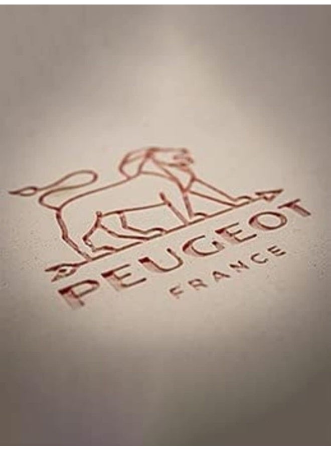 PEUGEOT طبق فرن بيجو أبوليا مستطيل 22 سم أحمر - Image 4