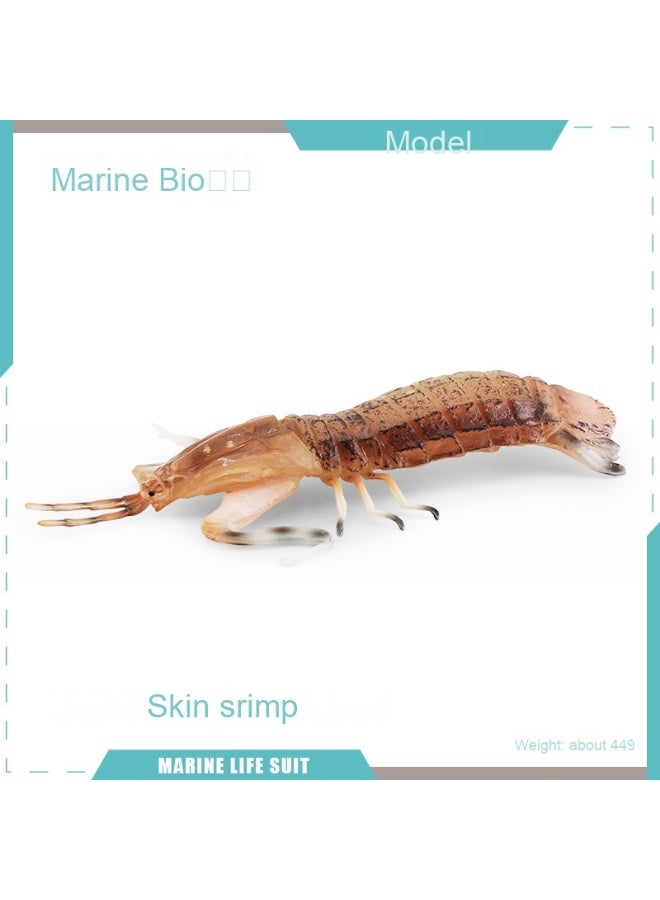 NIBEMINENT Realistic Ocean Animal Model - Cross-Border Static Desktop Decor