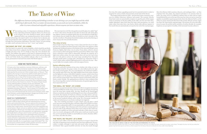 The New Sotheby's Wine Encyclopedia, 6th Edition - Image 4