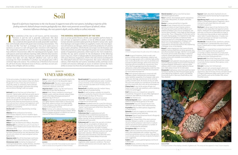 The New Sotheby's Wine Encyclopedia, 6th Edition - Image 3
