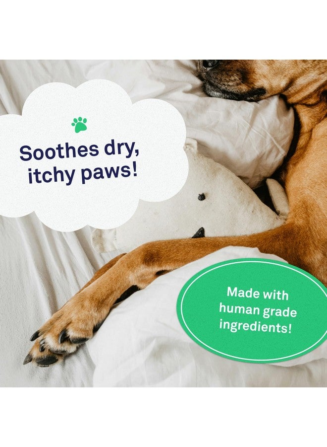 Petpost | Paw Balm for Dogs - Nourishing Cream Soothes Itchy, Dry Dog Paws with Moisturizing Ingredients - Organic Coconut Oil, Jojoba Oil, and Shea Butter 0.64 oz. - Image 3