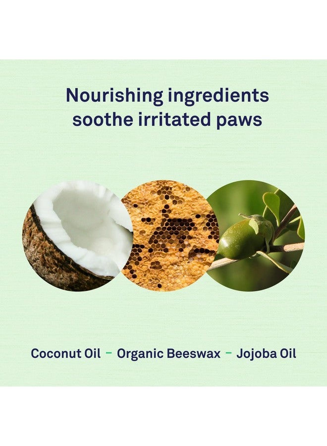 Petpost | Paw Balm for Dogs - Nourishing Cream Soothes Itchy, Dry Dog Paws with Moisturizing Ingredients - Organic Coconut Oil, Jojoba Oil, and Shea Butter 0.64 oz. - Image 4