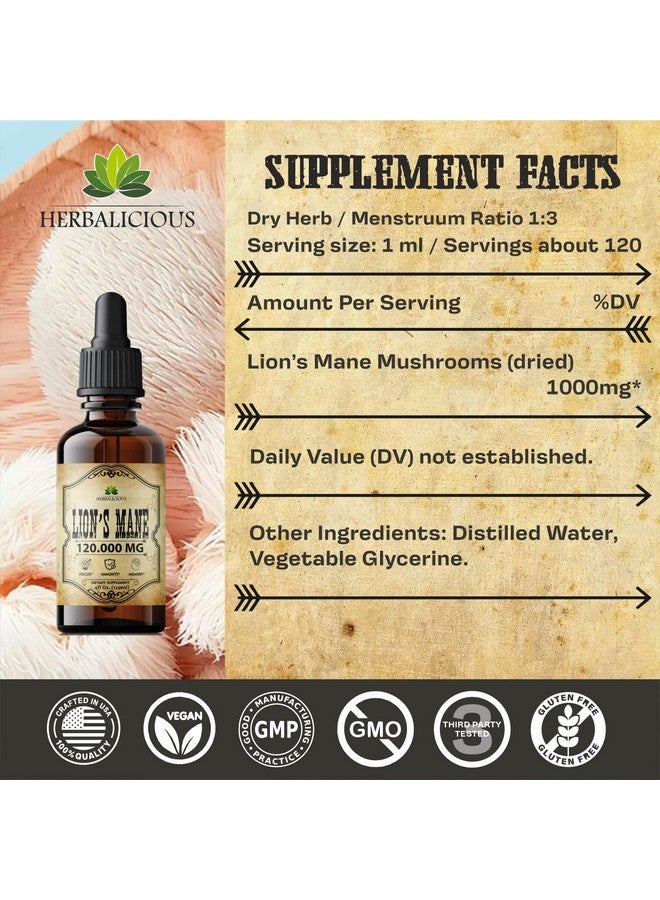 HERBALICIOUS مكمل الفطر السائل من هيرباليسيوس - مستخلص الفطر الفاخر لدعم الذاكرة والتركيز والوضوح والأعصاب - مكمل خالي من الجلوتين وغير معدل وراثيًا 4 أونصة سائلة - Image 5