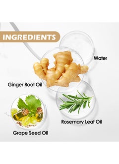 EELHOE Beard Enhance Oil,For Strengthen Beard Roots,Moisturize Beards And Make Beards Thicker  - Image 2
